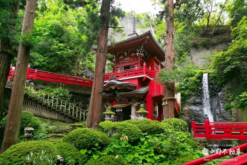 🏯 나카노 부동존 (다이쇼지) 이미지 10